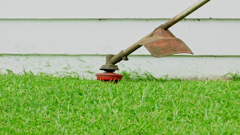 Lawn Maintenance Plans in Torrance, CA